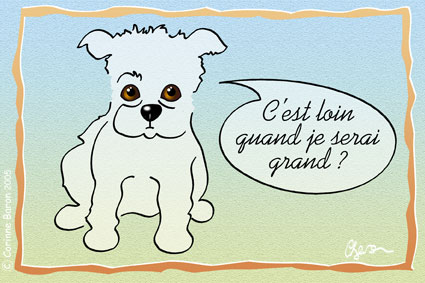 Chien02