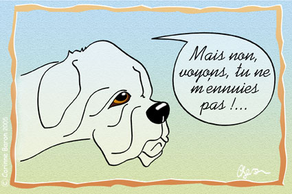Chien04