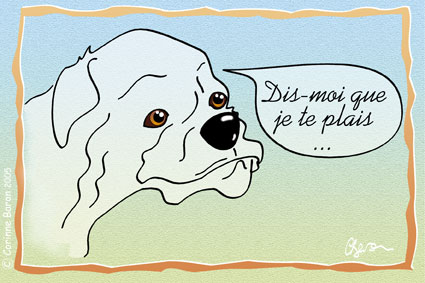 Chien05