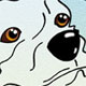 Chien05_m