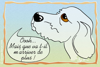 Chien06