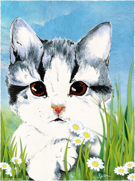 Cache-chat