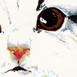 Cache-chat_m