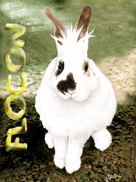 Flocon