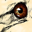 Regard de chien_m