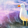 Rencontre