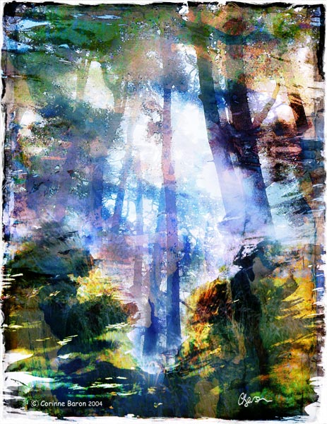 Sous-bois