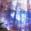 Sous-bois02_m