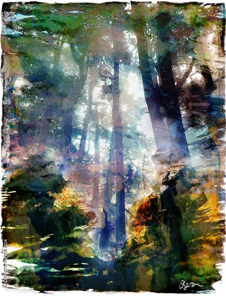 Sous-bois03