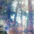 Sous-bois03_m