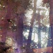 Sous-bois04_m