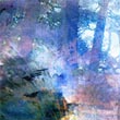 Sous-bois_m