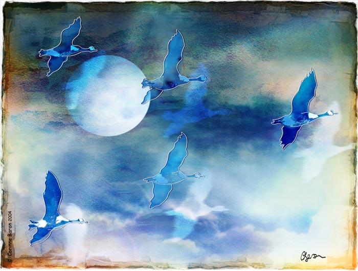 Vol de nuit