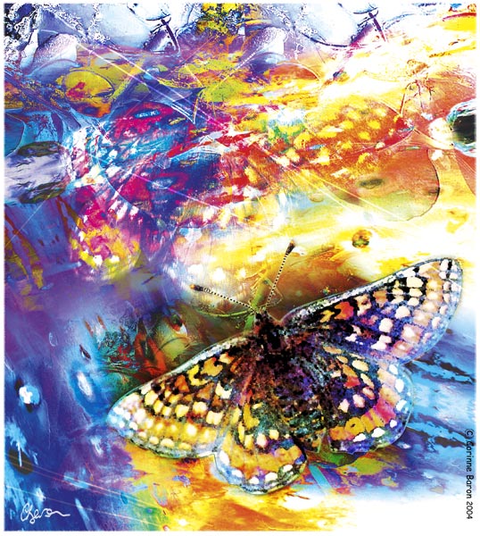 Le Papillon