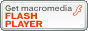 Logo Flash Player
